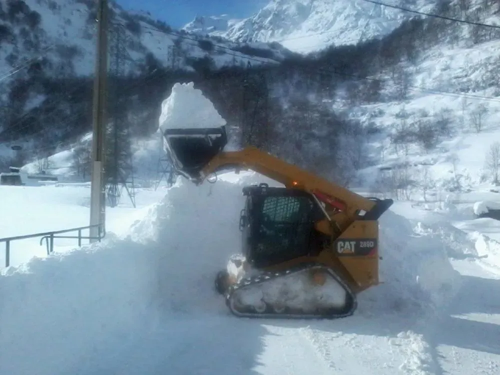 Neige
